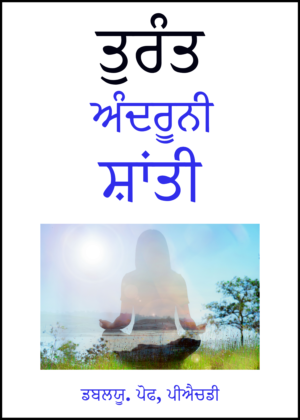 Instant Inner Peace - Punjabi